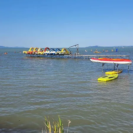 In 19555 Balatonmariafurdo